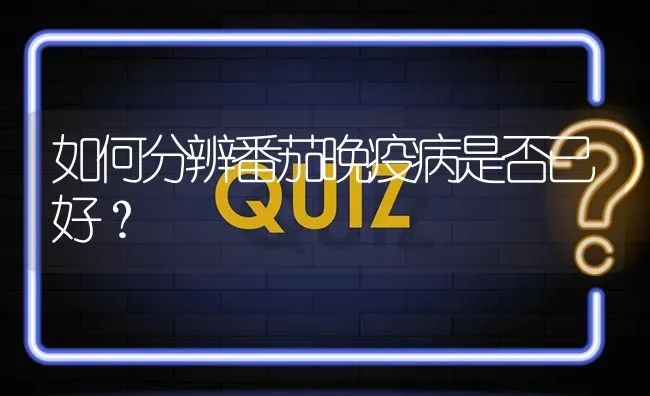 如何分辨番茄晚疫病是否已好? | 养殖问题解答