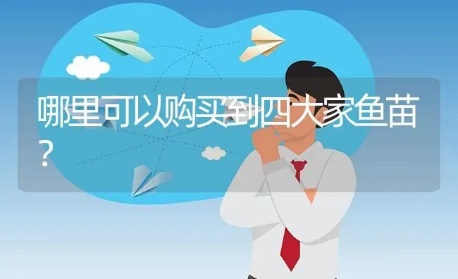哪里可以购买到四大家鱼苗? | 养殖问题解答