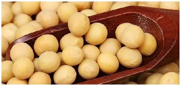 中国大豆产量 | 农业答疑
