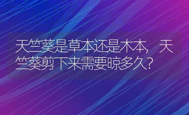 天竺葵是草本还是木本,天竺葵剪下来需要晾多久？ | 养殖常见问题