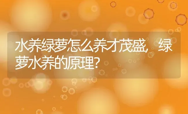 水养绿萝怎么养才茂盛,绿萝水养的原理？ | 养殖常见问题