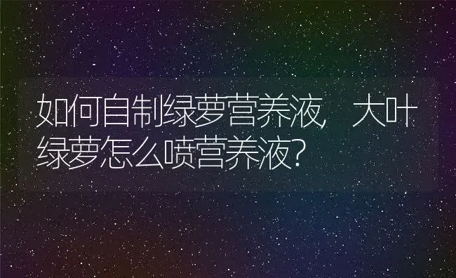 如何自制绿萝营养液,大叶绿萝怎么喷营养液？ | 养殖常见问题