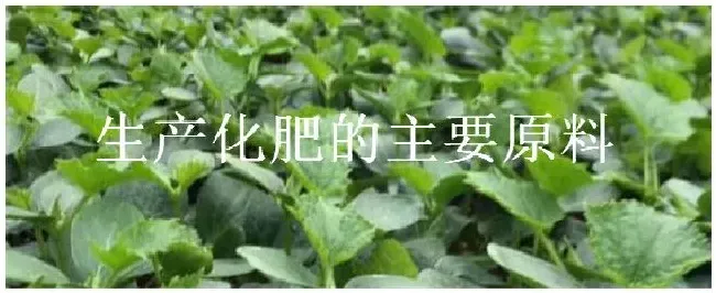 生产化肥的主要原料 | 科普知识