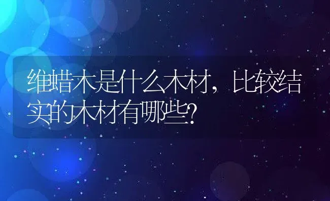 维蜡木是什么木材,比较结实的木材有哪些？ | 养殖常见问题