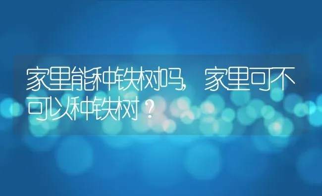 家里能种铁树吗,家里可不可以种铁树？ | 养殖常见问题