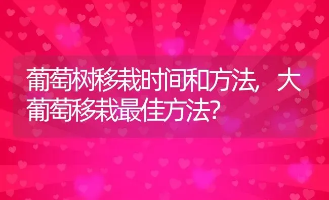 葡萄树移栽时间和方法,大葡萄移栽最佳方法？ | 养殖常见问题