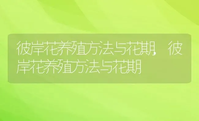 彼岸花养殖方法与花期,彼岸花养殖方法与花期 | 养殖常见问题