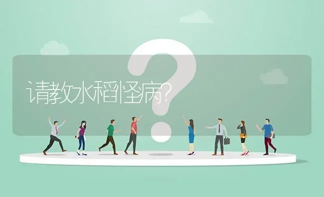 请教水稻怪病? | 养殖问题解答