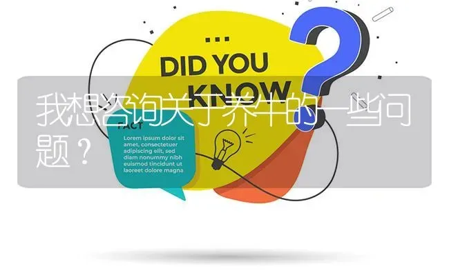 我想咨询关于养牛的一些问题? | 养殖问题解答