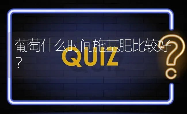 葡萄什么时间施基肥比较好? | 养殖问题解答