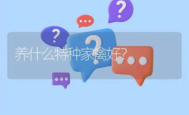 养什么特种家禽好? | 养殖问题解答