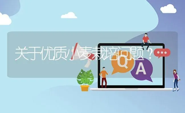 关于优质小麦栽培问题? | 养殖问题解答