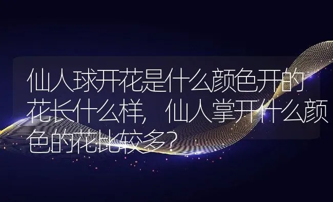 仙人球开花是什么颜色开的花长什么样,仙人掌开什么颜色的花比较多？ | 养殖常见问题