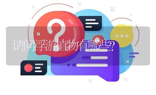 请问浮游植物有哪些? | 养殖问题解答