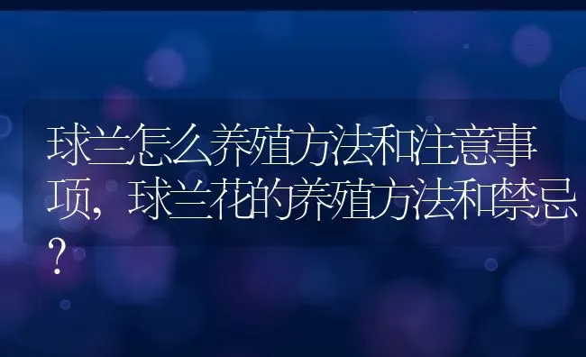 球兰怎么养殖方法和注意事项,球兰花的养殖方法和禁忌？ | 养殖常见问题