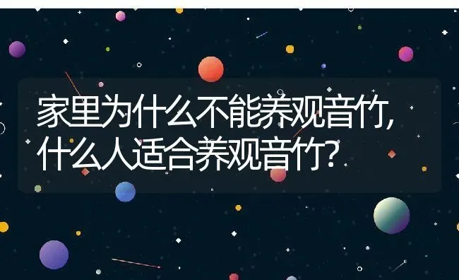 家里为什么不能养观音竹,什么人适合养观音竹？ | 养殖常见问题