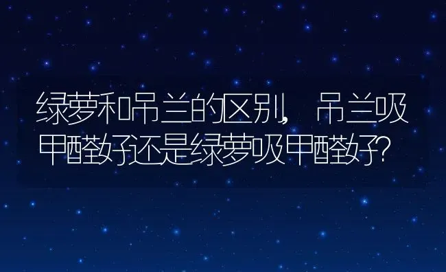 绿萝和吊兰的区别,吊兰吸甲醛好还是绿萝吸甲醛好？ | 养殖常见问题