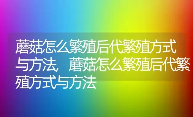 蘑菇怎么繁殖后代繁殖方式与方法,蘑菇怎么繁殖后代繁殖方式与方法 | 养殖常见问题