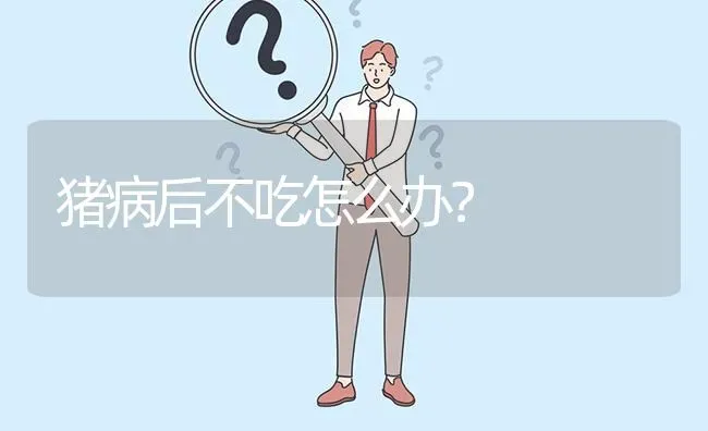 猪病后不吃怎么办? | 养殖问题解答