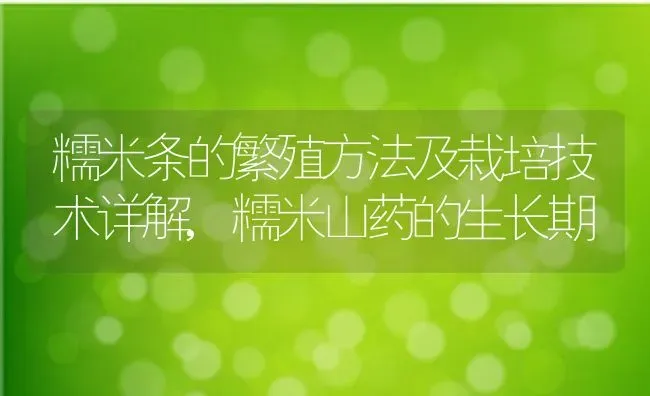 糯米条的繁殖方法及栽培技术详解,糯米山药的生长期 | 养殖常见问题