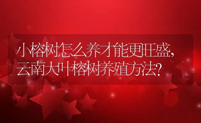 小榕树怎么养才能更旺盛,云南大叶榕树养殖方法？ | 养殖常见问题