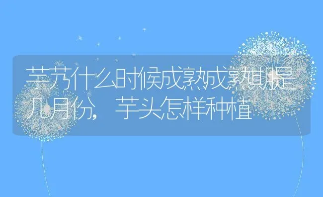 芋艿什么时候成熟成熟期是几月份,芋头怎样种植 | 养殖常见问题