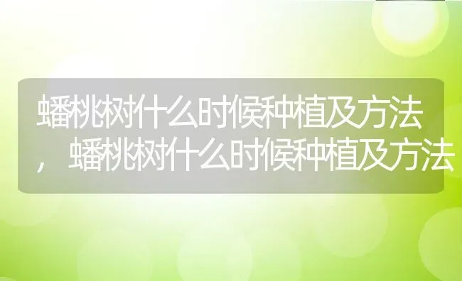 蟠桃树什么时候种植及方法,蟠桃树什么时候种植及方法 | 养殖常见问题