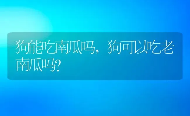 狗能吃南瓜吗,狗可以吃老南瓜吗？ | 养殖常见问题