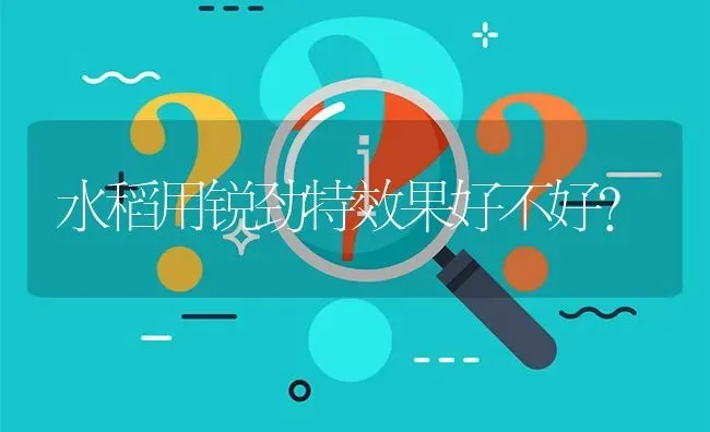 水稻用锐劲特效果好不好? | 养殖问题解答