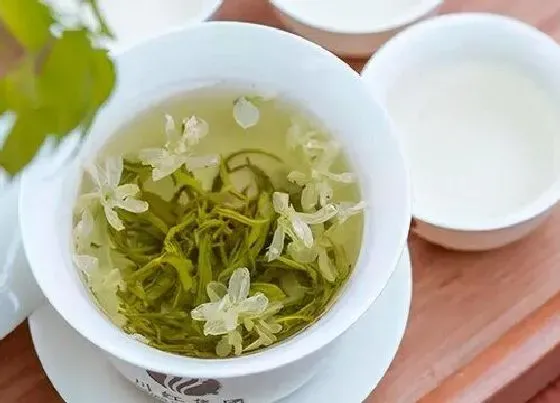 植物常识问题|花茶属于什么茶类 花茶有几种（哪种有名最好喝）