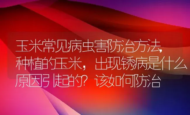 玉米常见病虫害防治方法,种植的玉米，出现锈病是什么原因引起的？该如何防治 | 养殖常见问题