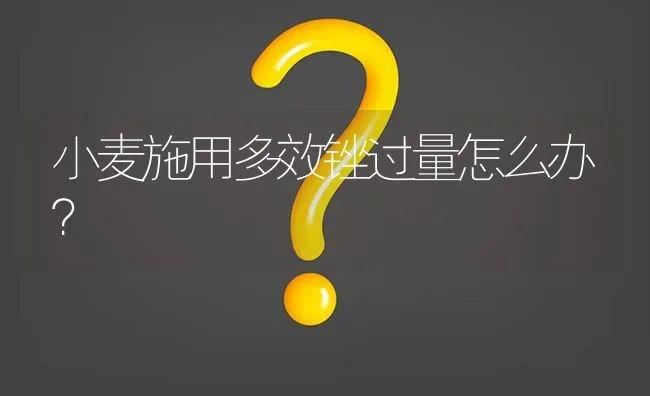 小麦施用多效锉过量怎么办? | 养殖问题解答