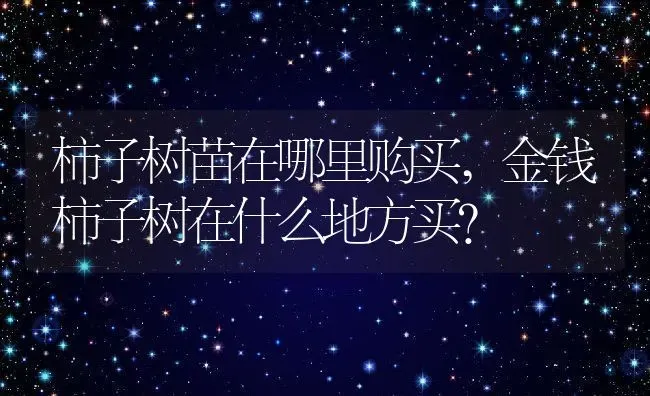 柿子树苗在哪里购买,金钱柿子树在什么地方买？ | 养殖常见问题