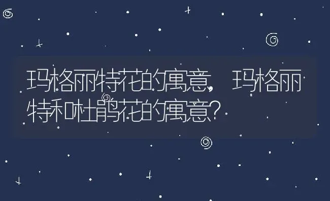 玛格丽特花的寓意,玛格丽特和杜鹃花的寓意？ | 养殖常见问题