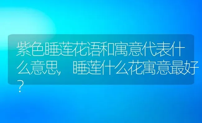 紫色睡莲花语和寓意代表什么意思,睡莲什么花寓意最好？ | 养殖常见问题
