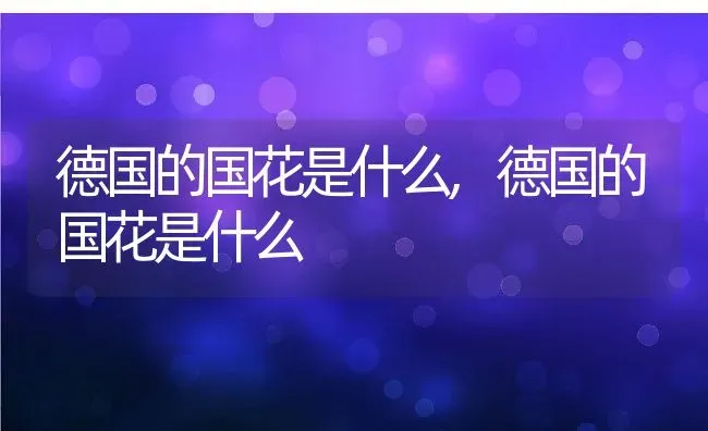 德国的国花是什么,德国的国花是什么 | 养殖常见问题