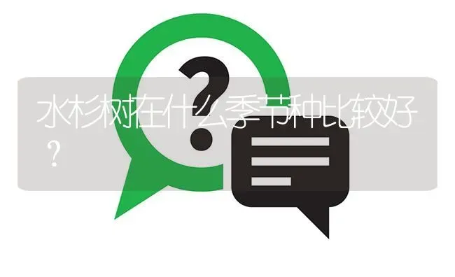 水杉树在什么季节种比较好? | 养殖问题解答