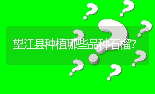 望江县种植哪些品种石榴? | 养殖问题解答