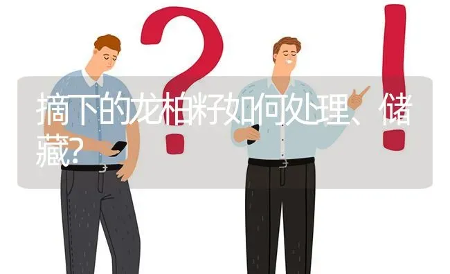 摘下的龙柏籽如何处理、储藏? | 养殖问题解答
