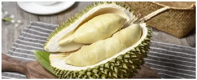 榴莲种植的注意事项 | 农业常识
