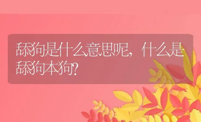 舔狗是什么意思呢,什么是舔狗本狗？ | 养殖常见问题