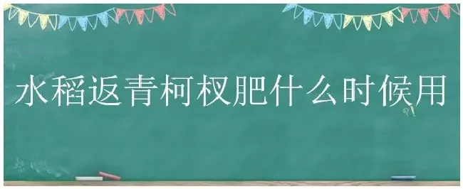 水稻返青柯杈肥什么时候用 | 三农答疑