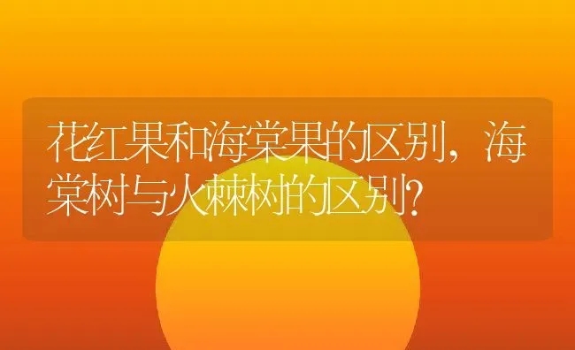 花红果和海棠果的区别,海棠树与火棘树的区别？ | 养殖常见问题