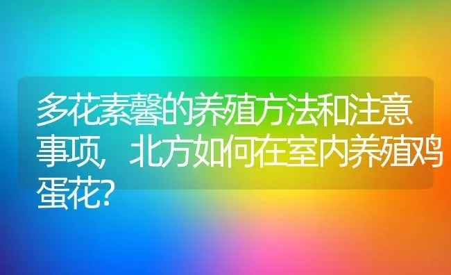 多花素馨的养殖方法和注意事项,北方如何在室内养殖鸡蛋花？ | 养殖常见问题