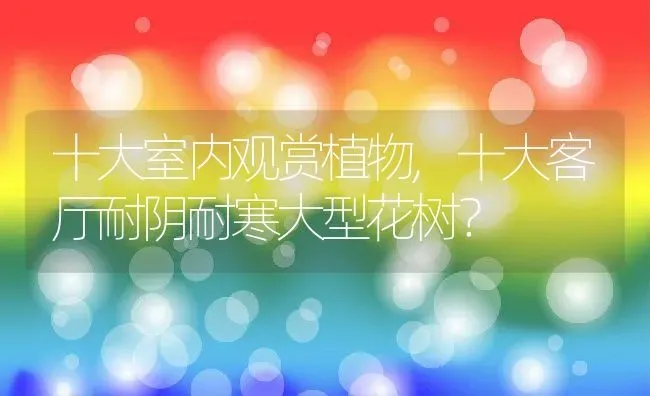 十大室内观赏植物,十大客厅耐阴耐寒大型花树？ | 养殖常见问题
