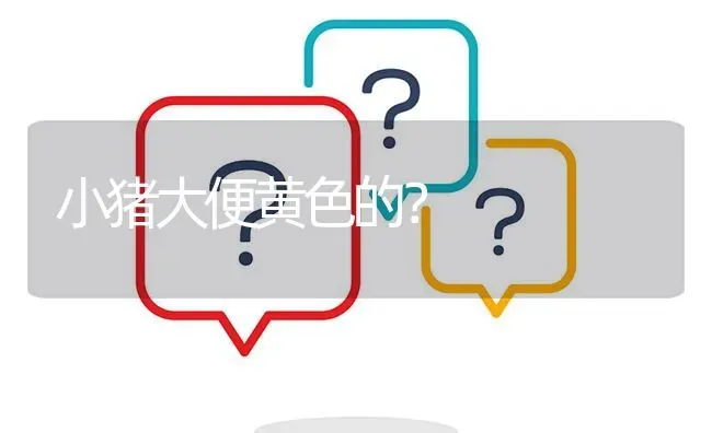 小猪大便黄色的? | 养殖问题解答