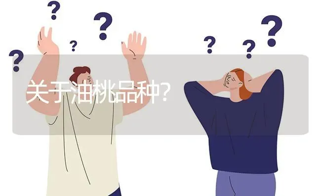 关于油桃品种? | 养殖问题解答
