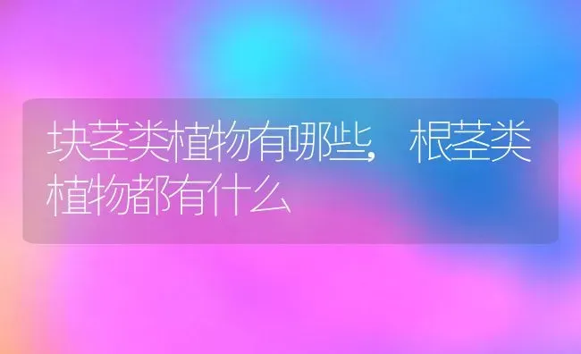 块茎类植物有哪些,根茎类植物都有什么 | 养殖常见问题