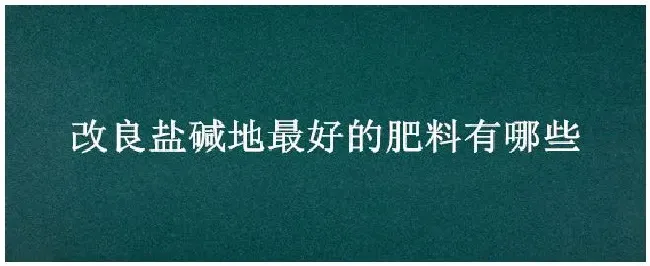 改良盐碱地最好的肥料有哪些 | 科普知识