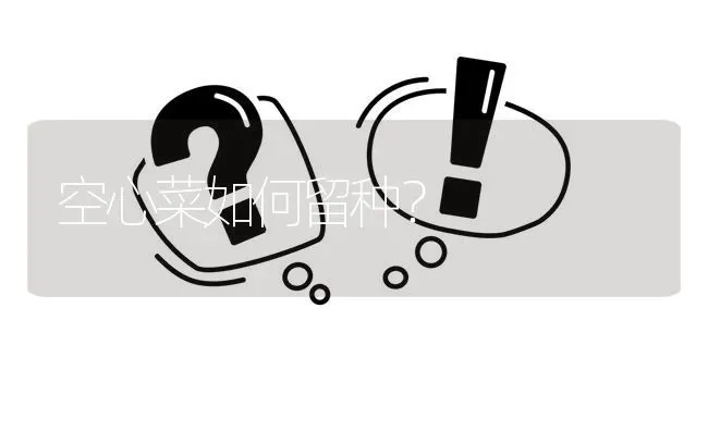 空心菜如何留种? | 养殖问题解答